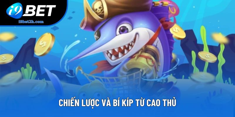 Chiến lược và bí kíp từ cao thủ