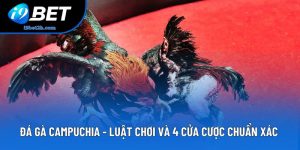 Đá Gà Campuchia - Luật Chơi Và 4 Cửa Cược Chuẩn Xác 2026
