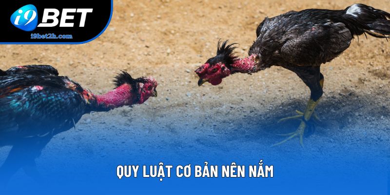 Quy luật cơ bản nên nắm Quy luật cơ bản nên nắm