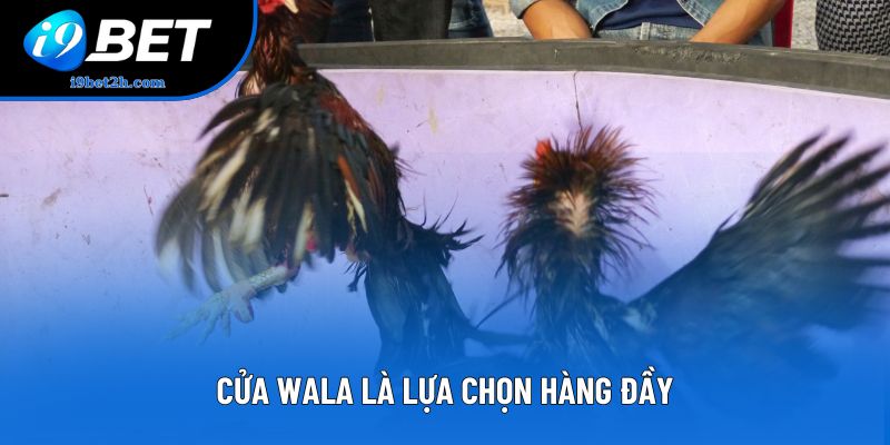 Cửa Wala là lựa chọn hàng đầy Cửa Wala là lựa chọn hàng đầy