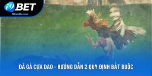 Đá Gà Cựa Dao - Hướng Dẫn 2 Quy Định Bắt Buộc Phải Nắm