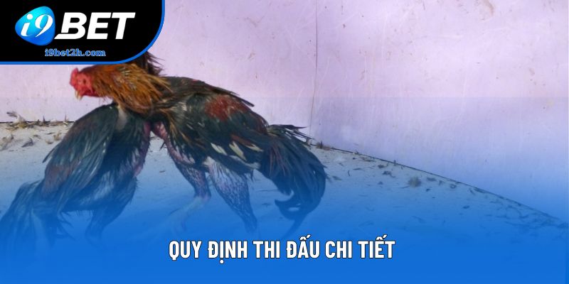 Quy định thi đấu chi tiết 