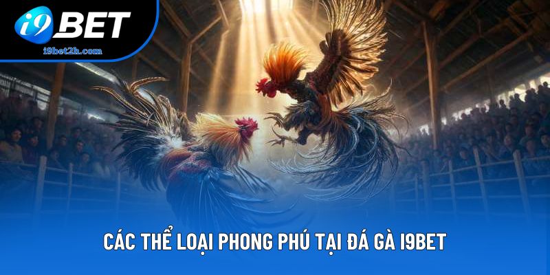 Các thể loại phong phú tại Đá gà I9Bet
