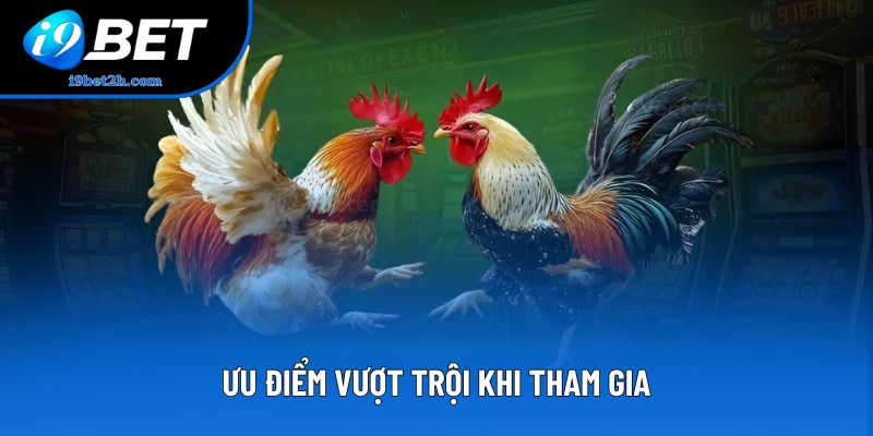 Ưu điểm vượt trội khi tham gia