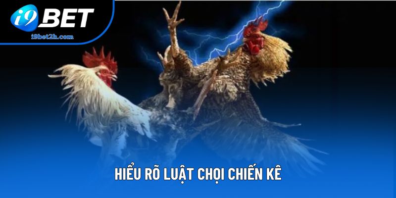 Hiểu rõ luật chọi chiến kê