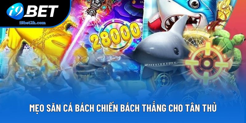 Mẹo săn cá bách chiến bách thắng cho tân thủ Mẹo săn cá bách chiến bách thắng cho tân thủ