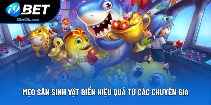 Mẹo săn sinh vật biển hiệu quả từ các chuyên gia