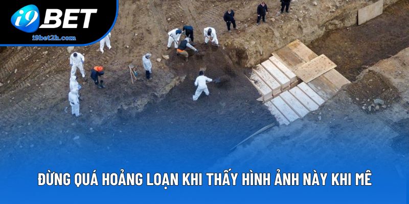 Đừng quá hoảng loạn khi thấy hình ảnh này trong cõi mê