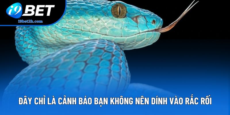 Đừng sợ, đây chỉ là cảnh báo bạn không nên dính vào rắc rối