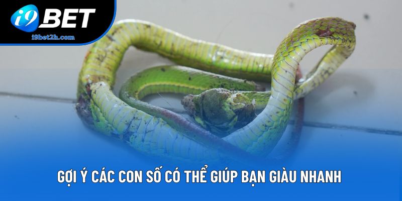 Gợi ý các con số có thể giúp bạn giàu nhanh 