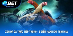 Xem Đá Gà Trực Tiếp Thomo - 3 Điểm Mạnh Khi Tham Gia