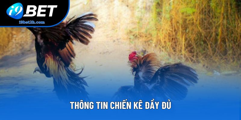 Thông tin chiến kê đầy đủ Thông tin chiến kê đầy đủ